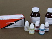 QX0007    慶大霉素溶液（500U/mL）